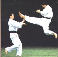 karate-art